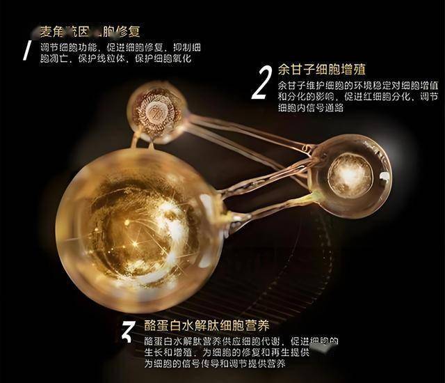 开街一周年｜吉祥里向上生长，焕新祥符美学子活