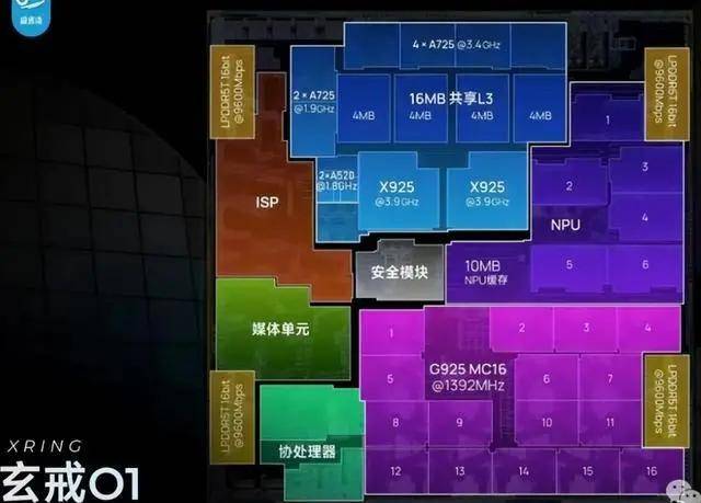 年夜饭如何吃更保养？广东发布提醒